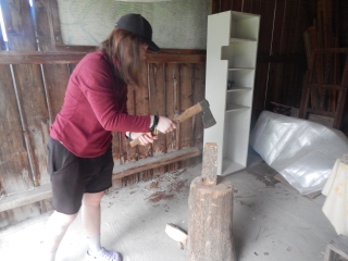 Dofe04.JPG