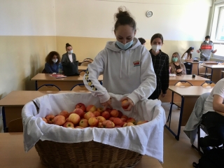 IMG 1550.jpg