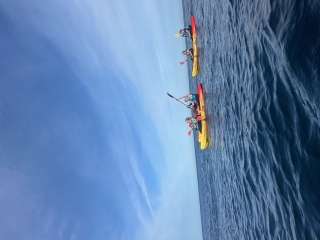 Image1.jpeg