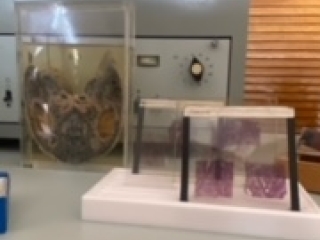 Image11.jpeg