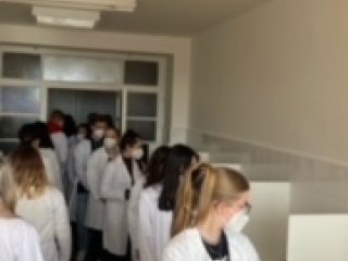 Image15.jpeg