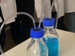 Image21.jpeg