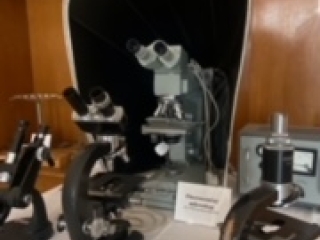 Image7.jpeg